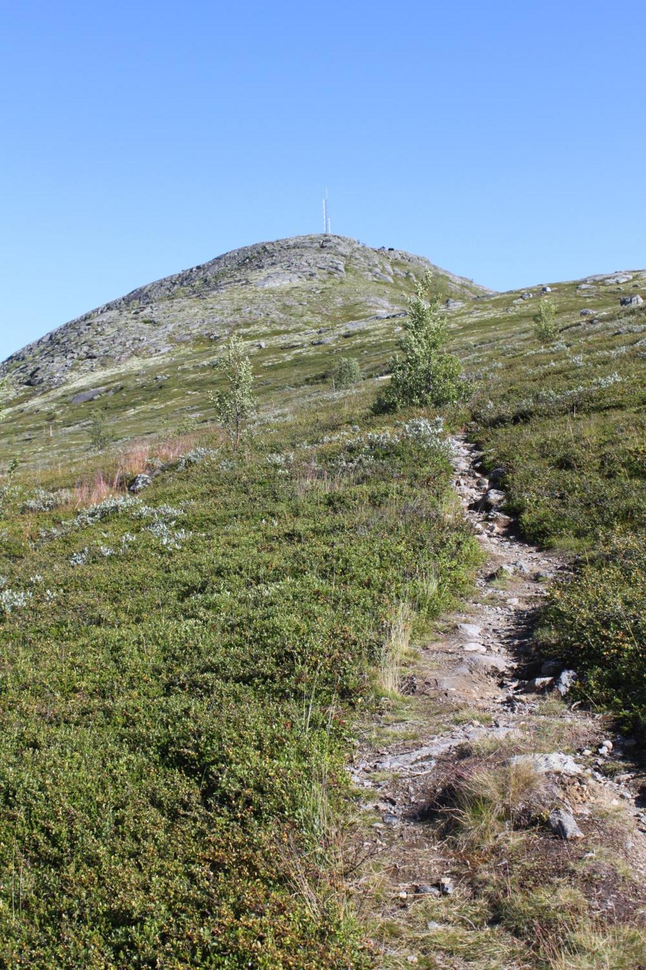 Villa Jotunheimen Feriesenter Heidal Exterior foto
